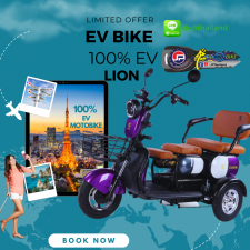 Lion Ev Bike 3 wheels -violet